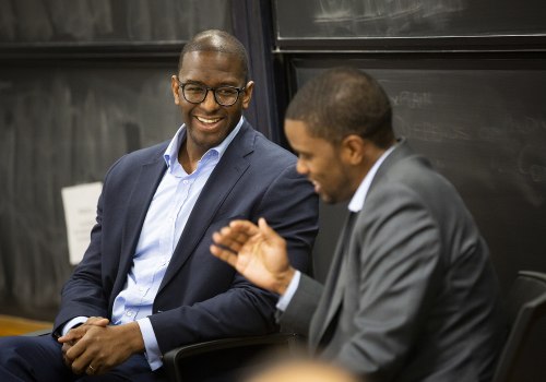 The Power of Political Advertising in Hillsborough County Elections